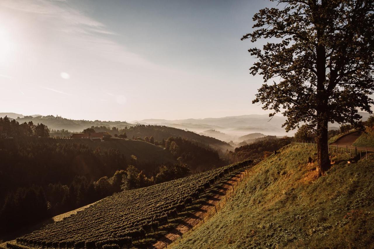 Vila Weingut Kollerhof Am Eichberg Leutschach Exteriér fotografie