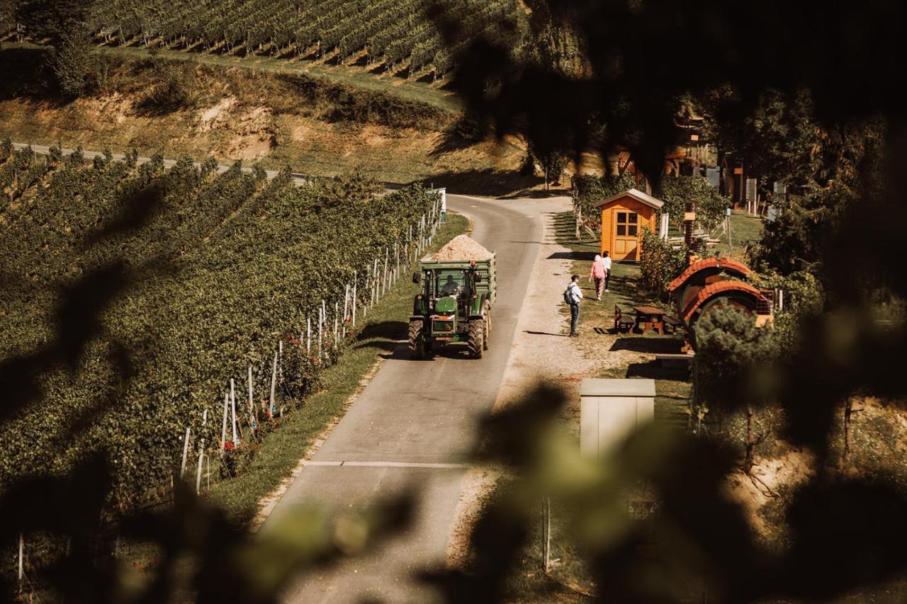 Vila Weingut Kollerhof Am Eichberg Leutschach Exteriér fotografie
